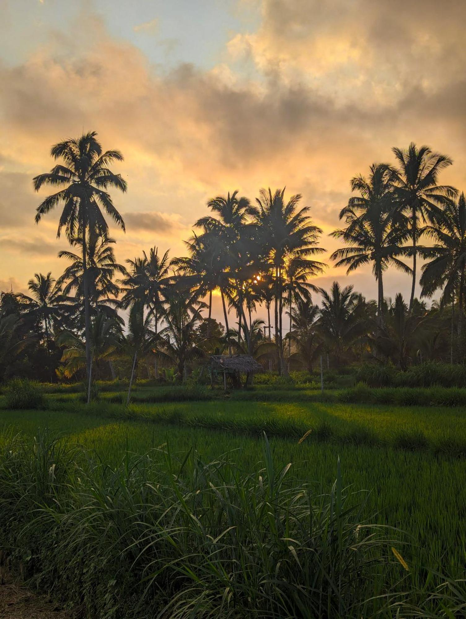 Linkgreen Homestay Lombok Тетебату Екстер'єр фото